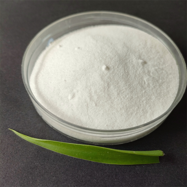 �۱�ϩ����